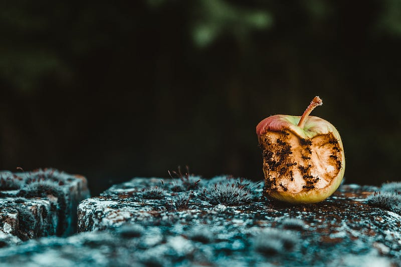 Photo by Maria Teneva on Unsplash