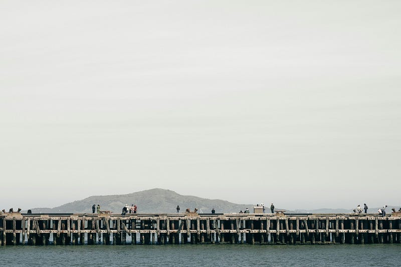 Photo by Verne Ho on Unsplash