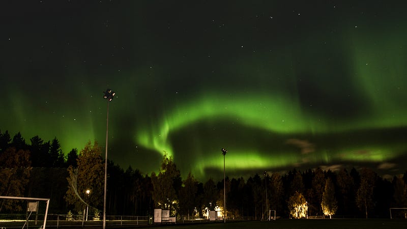 Photo by Adrian Dascal on Unsplash